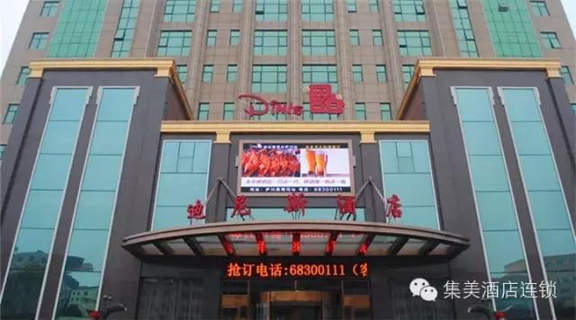 小熊回家│让每一份爱都没有缺憾