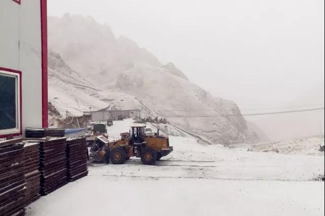 人间四月芳菲尽，山中春雪还复来