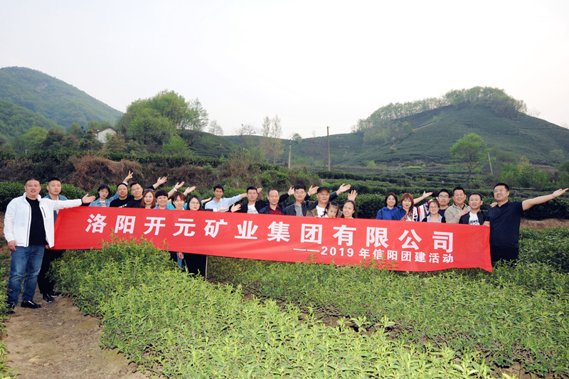 感受信阳茶文化 体验绿色生态游｜洛阳开元集团2019年信阳团建活动
